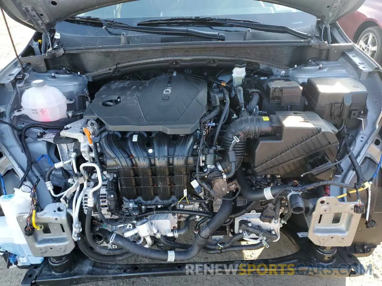 12 fotografías del automóvil dañado KNDPUCDF1S7346992 KIA SPORTAGE 2025