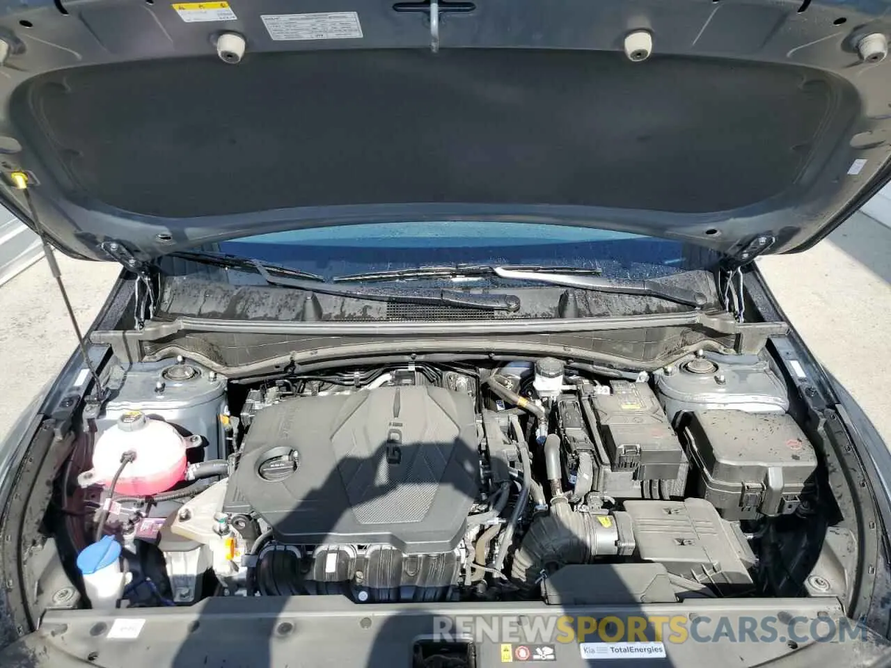 12 fotografías del automóvil dañado KNDPUCDF8S7387880 KIA SPORTAGE 2025