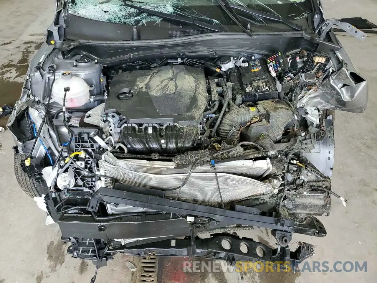 12 fotografías del automóvil dañado KNDPUCDF9S7371414 KIA SPORTAGE 2025