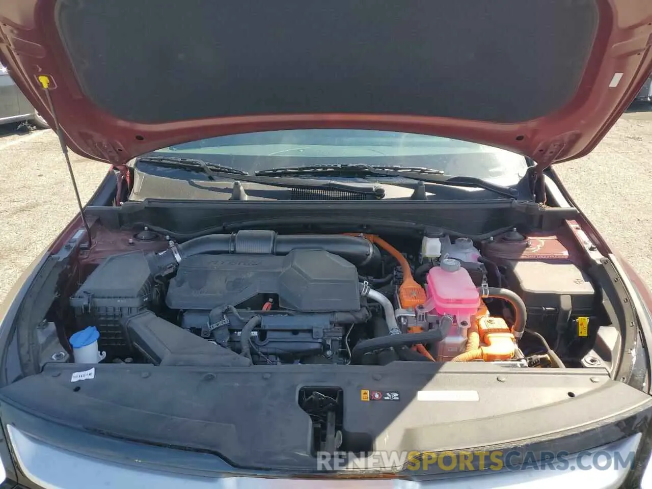 12 fotografías del automóvil dañado KNDPXCDG3S7201016 KIA SPORTAGE 2025