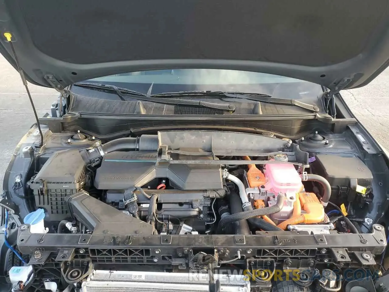 14 fotografías del automóvil dañado KNDPXCDG7S7184396 KIA SPORTAGE 2025