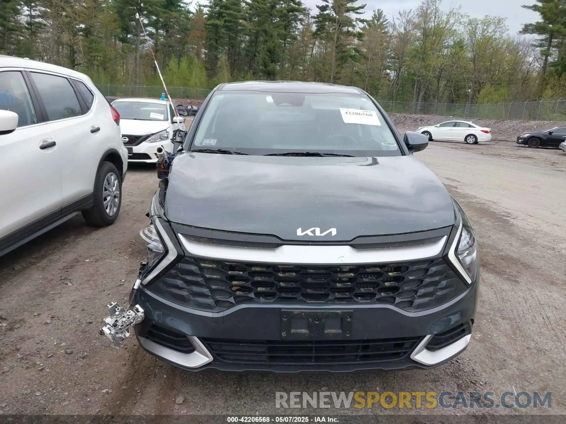 12 fotografías del automóvil dañado KNDPUCAG1P7056739 KIA SPORTAGE HYBRID 2023