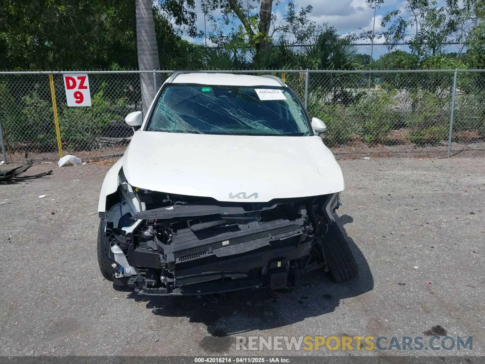 11 fotografías del automóvil dañado KNDPVCAG9P7095057 KIA SPORTAGE HYBRID 2023