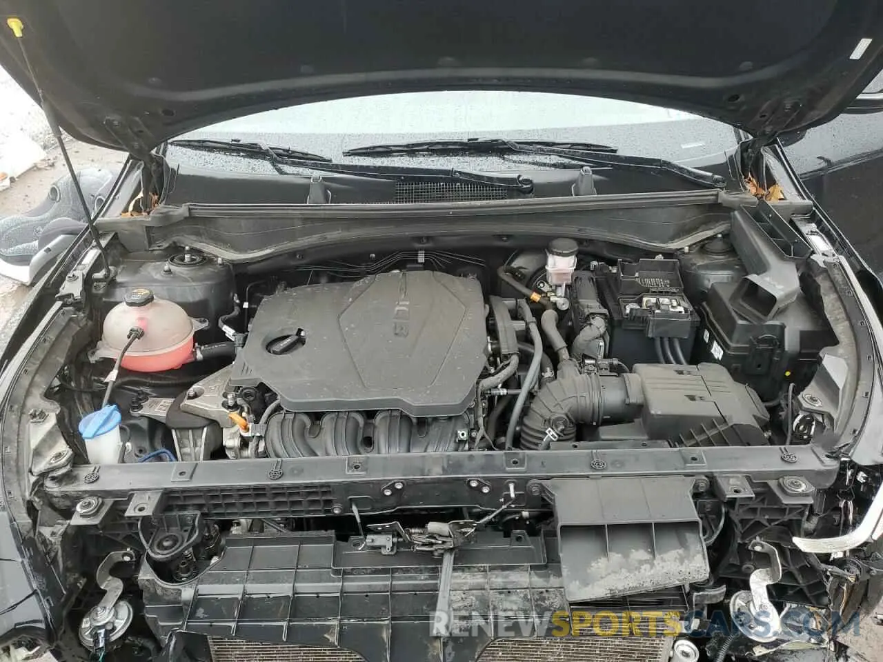 12 fotografías del automóvil dañado 5XYK6CAF8PG008654 KIA SPORTAGE X 2023