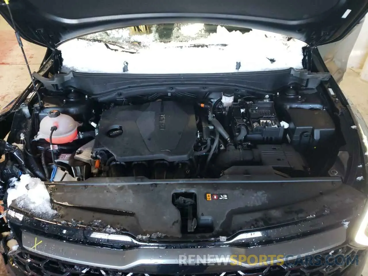 12 fotografías del automóvil dañado 5XYK6CAFXPG110425 KIA SPORTAGE X 2023