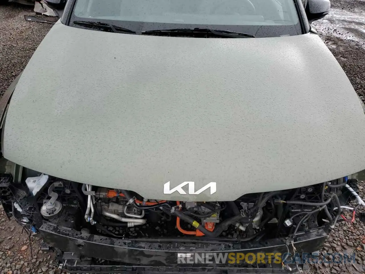 12 fotografías del automóvil dañado KNDPYDAH5P7048985 KIA SPORTAGE X 2023