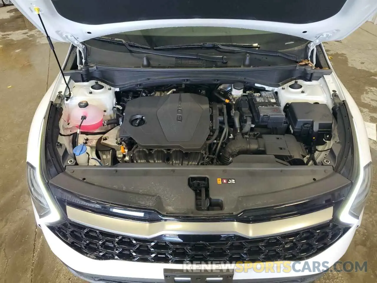 12 fotografías del automóvil dañado 5XYK6CDF6RG226946 KIA SPORTAGE X 2024