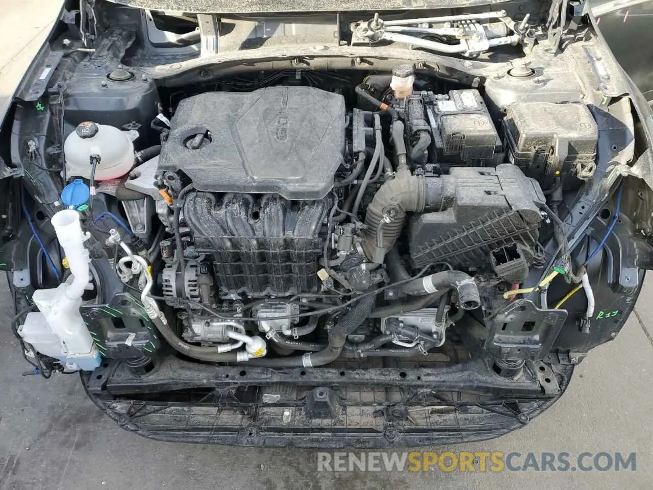 12 fotografías del automóvil dañado 5XYK6CDF7RG175604 KIA SPORTAGE X 2024