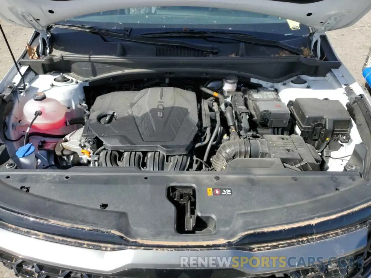 13 fotografías del automóvil dañado 5XYK6CDF7RG195609 KIA SPORTAGE X 2024