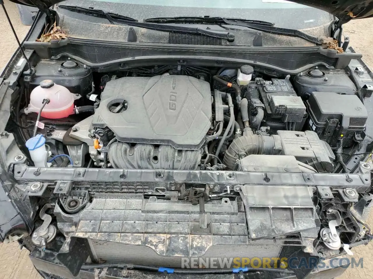 12 fotografías del automóvil dañado 5XYK6CDF8RG158584 KIA SPORTAGE X 2024