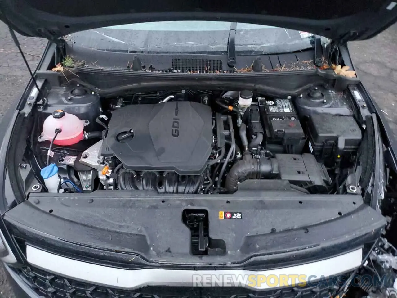 13 fotografías del automóvil dañado 5XYK6CDF8RG201921 KIA SPORTAGE X 2024