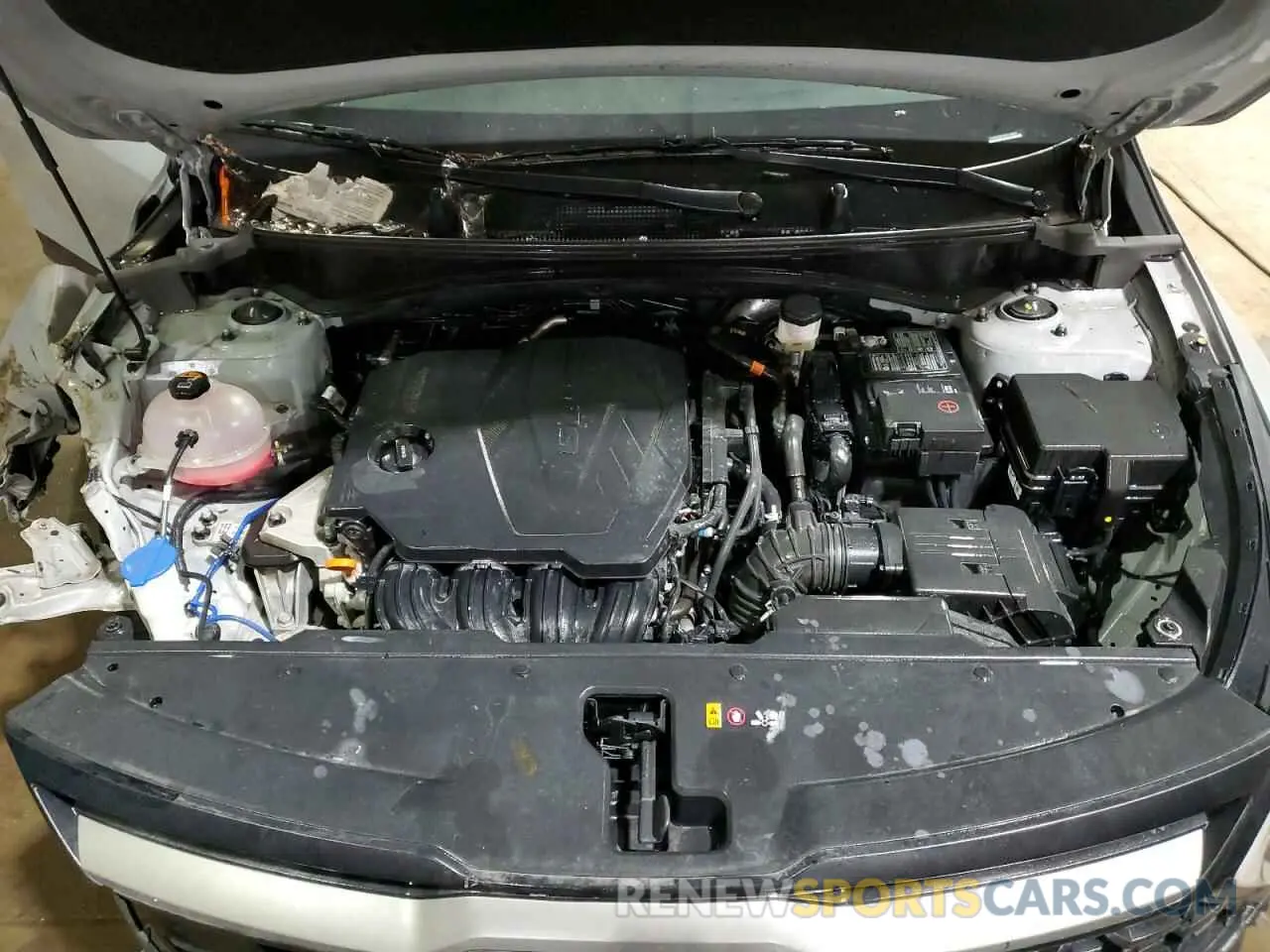 12 fotografías del automóvil dañado 5XYK6CDFXRG178660 KIA SPORTAGE X 2024
