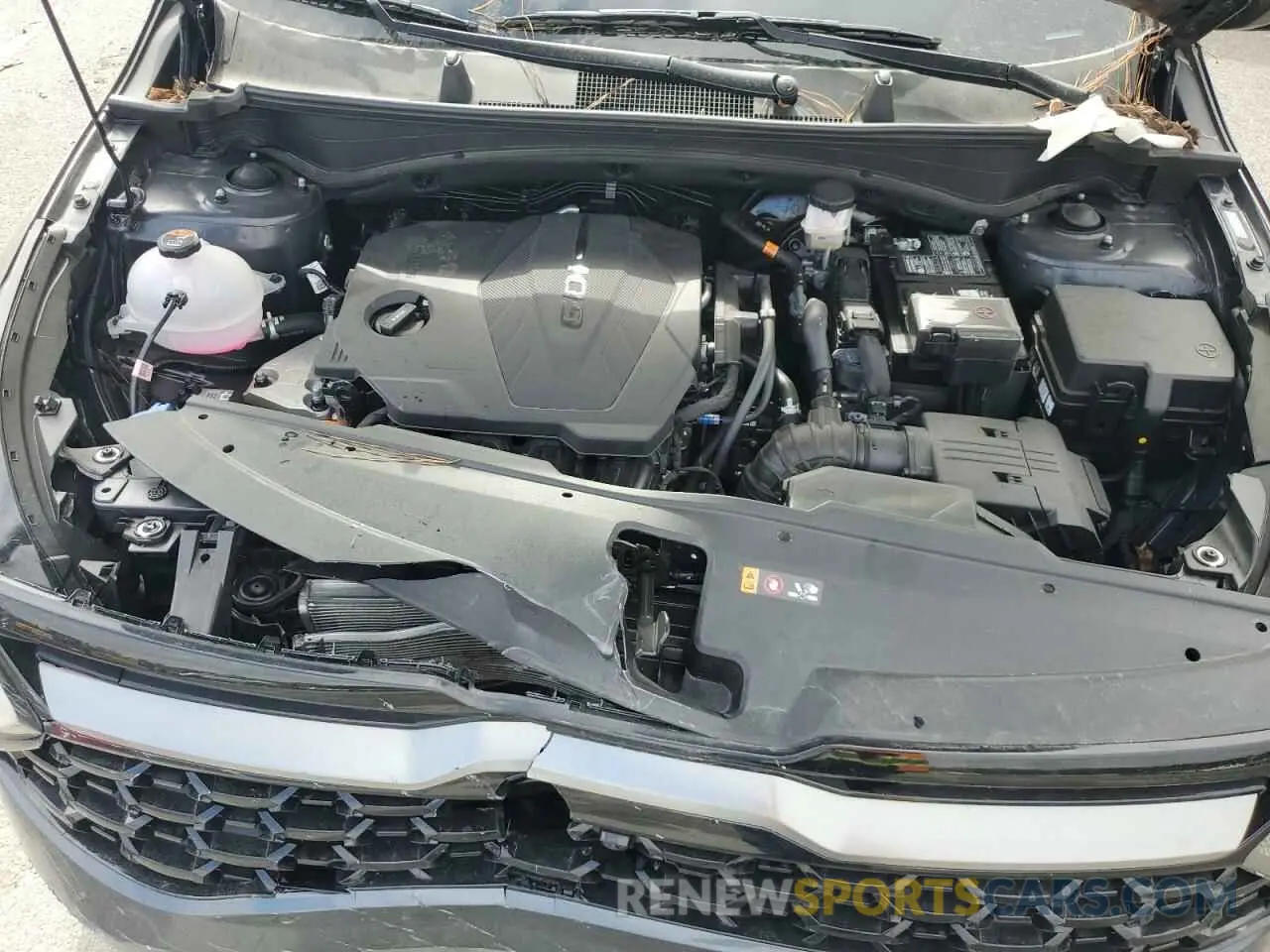 13 fotografías del automóvil dañado 5XYK7CDF0RG231833 KIA SPORTAGE X 2024