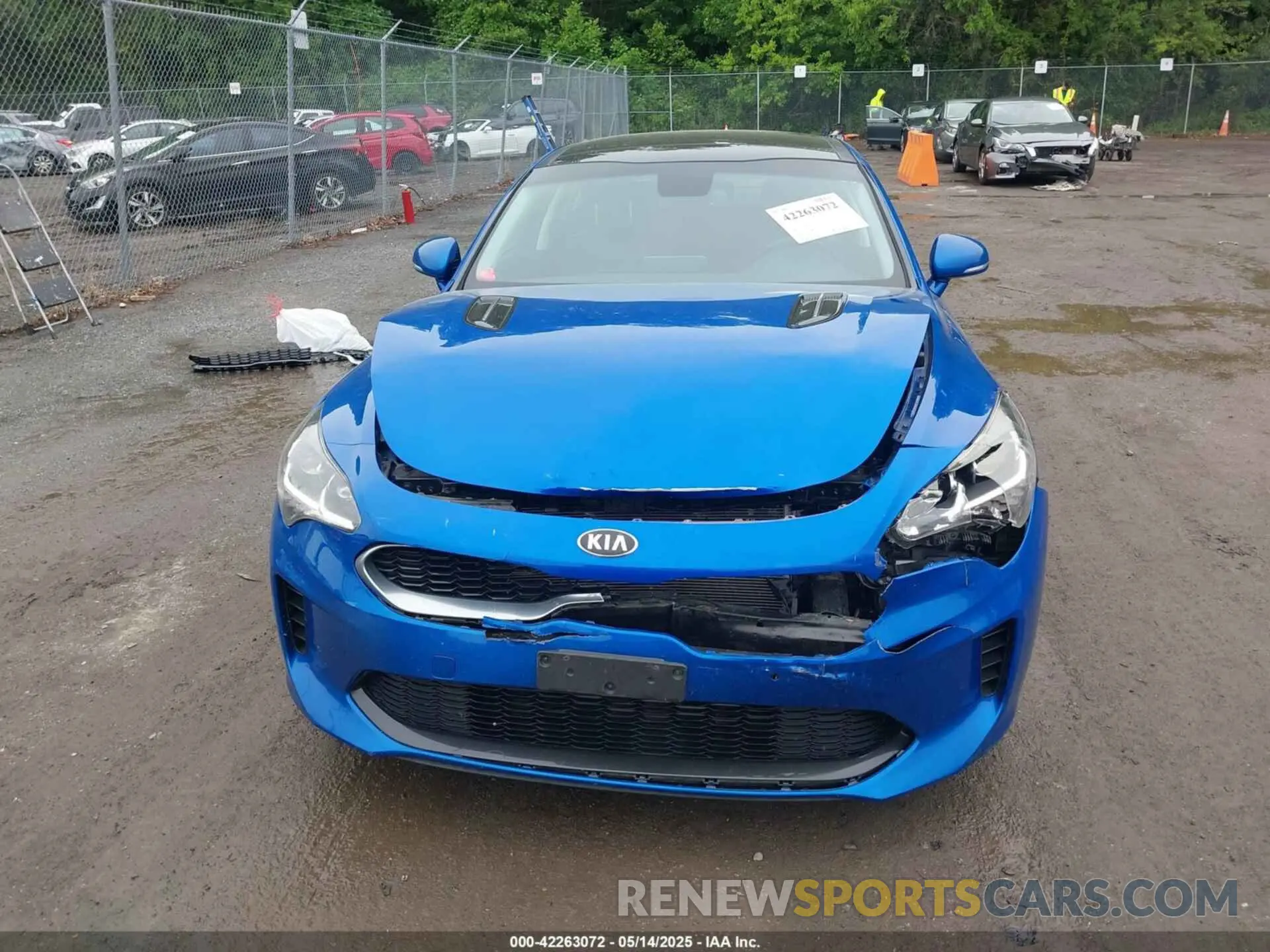 12 fotografías del automóvil dañado KNAE15LA1K6059284 KIA STINGER 2019