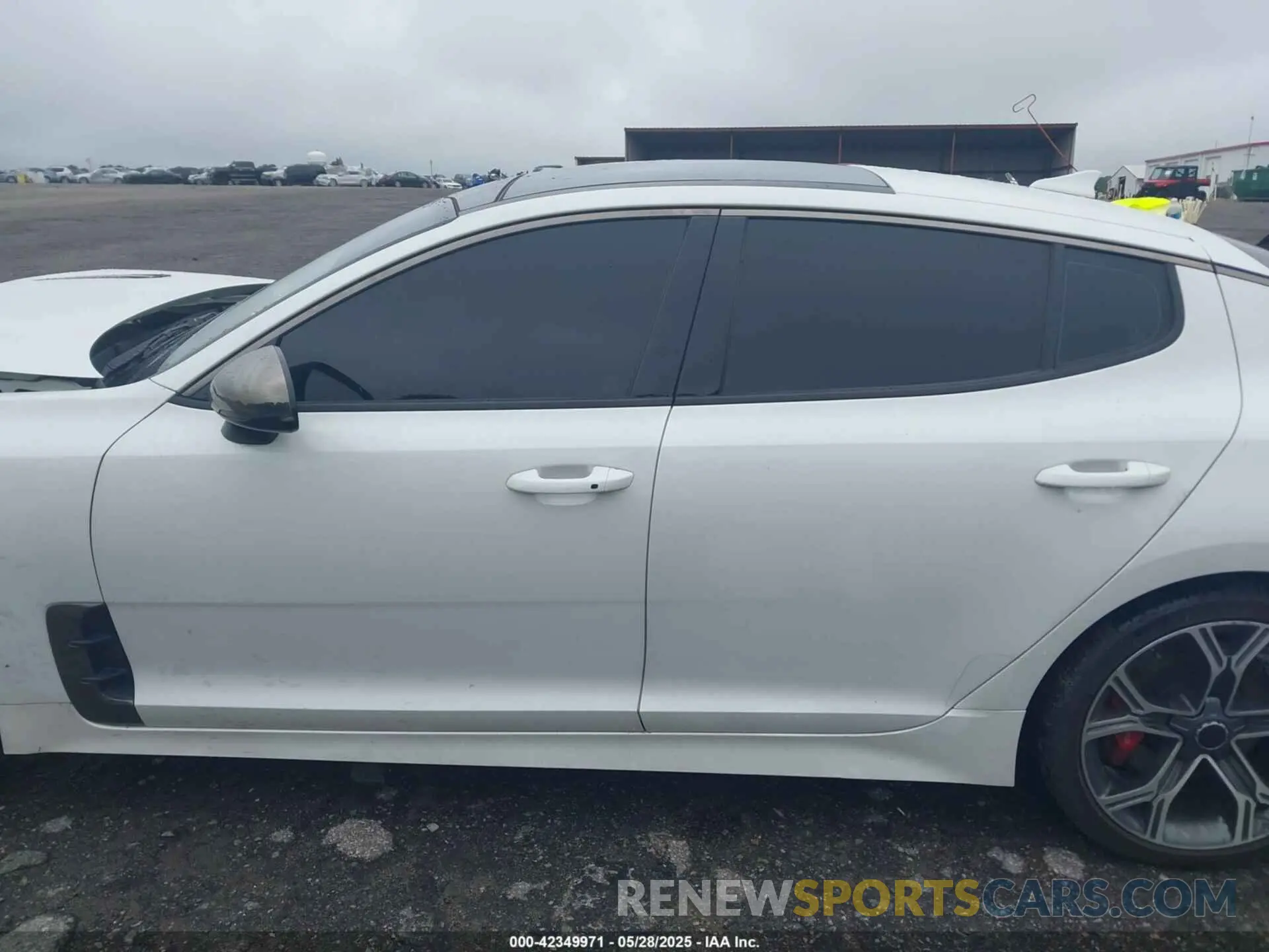 14 fotografías del automóvil dañado KNAE45LC8K6051272 KIA STINGER 2019