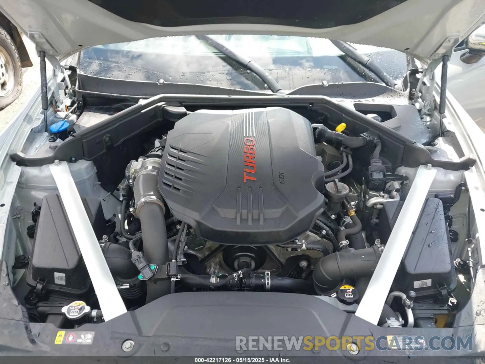10 fotografías del automóvil dañado KNAE55LC1K6069433 KIA STINGER 2019