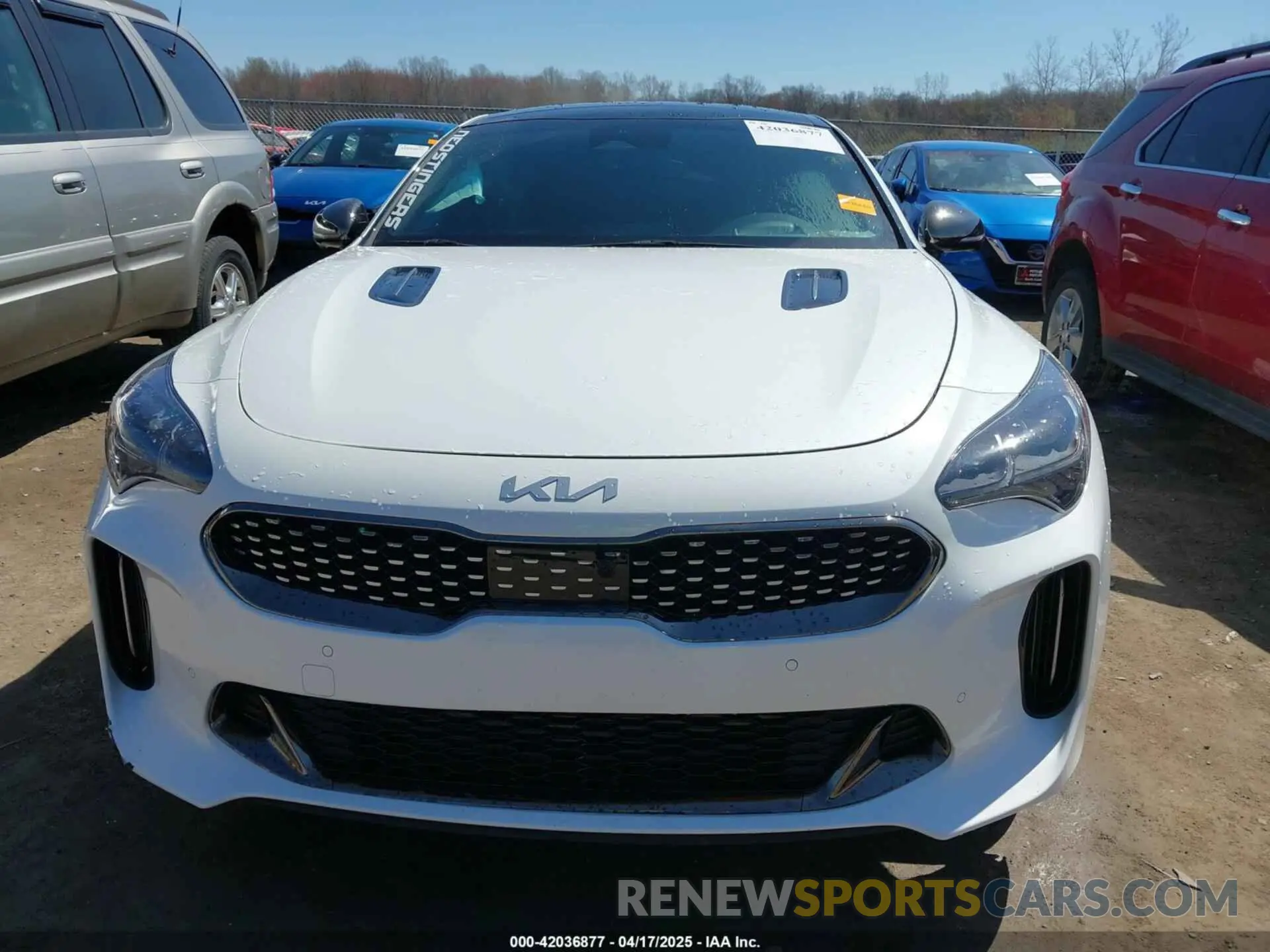 12 fotografías del automóvil dañado KNAE55LC6P6131643 KIA STINGER 2023