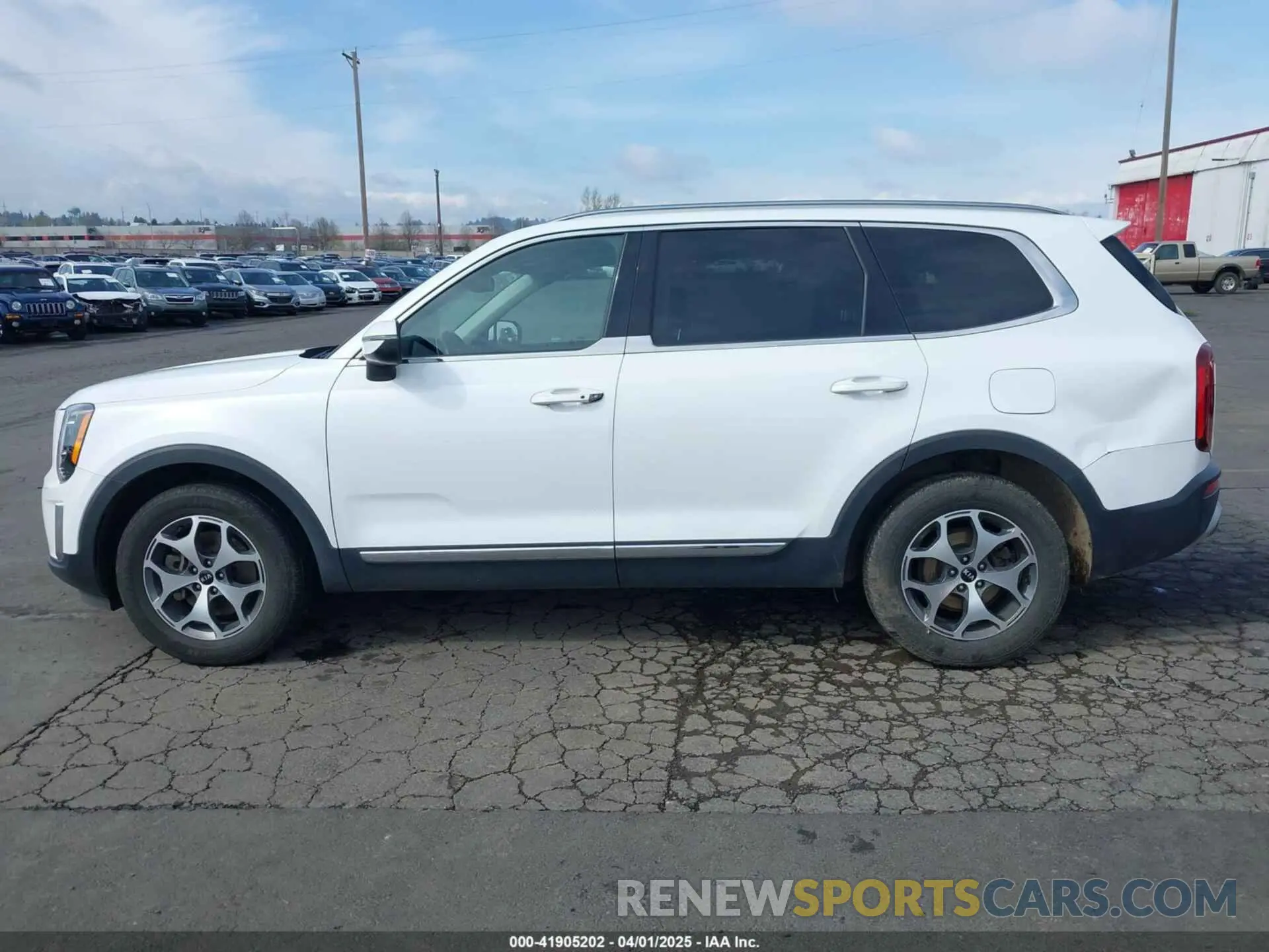 14 fotografías del automóvil dañado 5XYP3DHC6LG002863 KIA TELLURIDE 2020