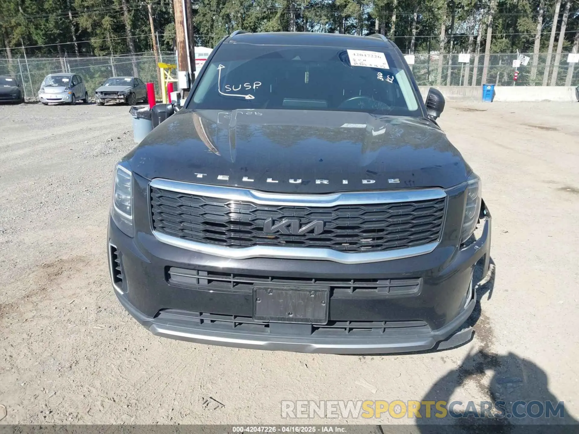 12 fotografías del automóvil dañado 5XYP34HC0NG243269 KIA TELLURIDE 2022
