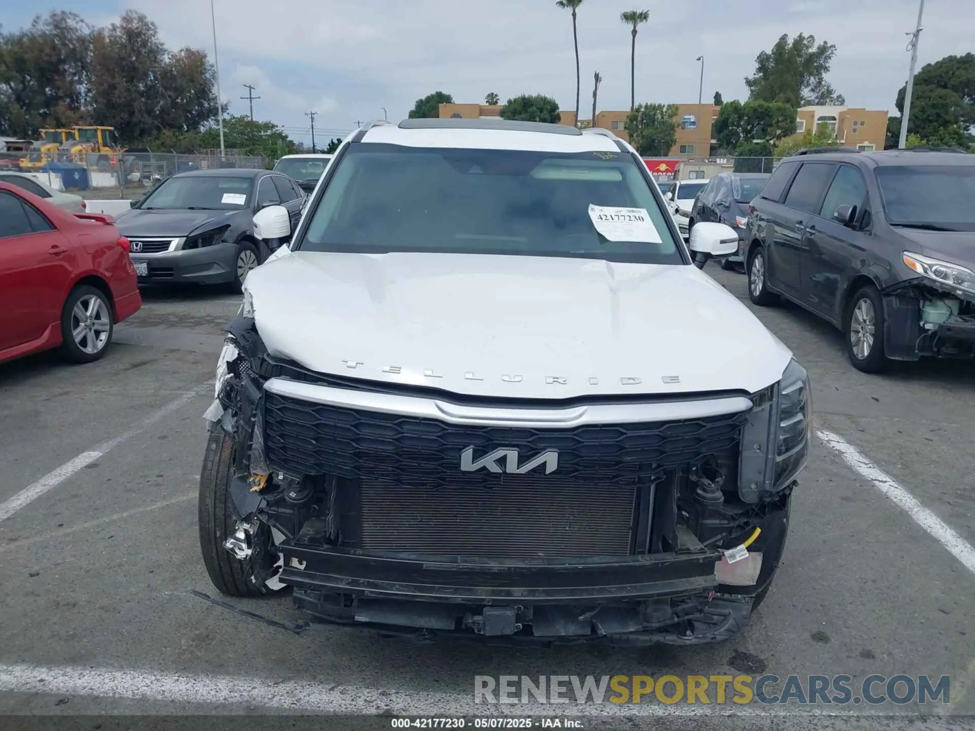 13 fotografías del automóvil dañado 5XYP5DHC9NG247668 KIA TELLURIDE 2022