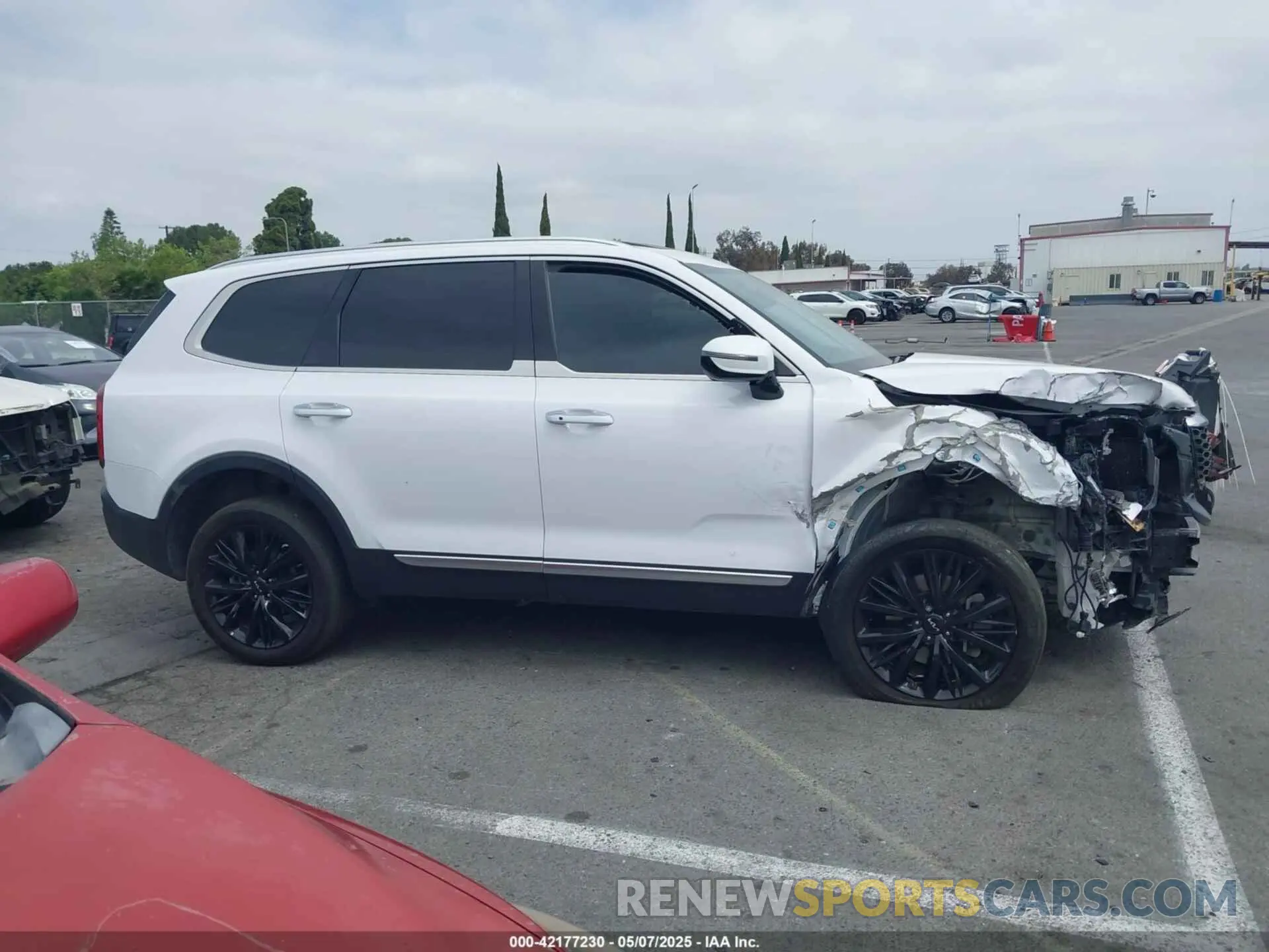 14 fotografías del automóvil dañado 5XYP5DHC9NG247668 KIA TELLURIDE 2022
