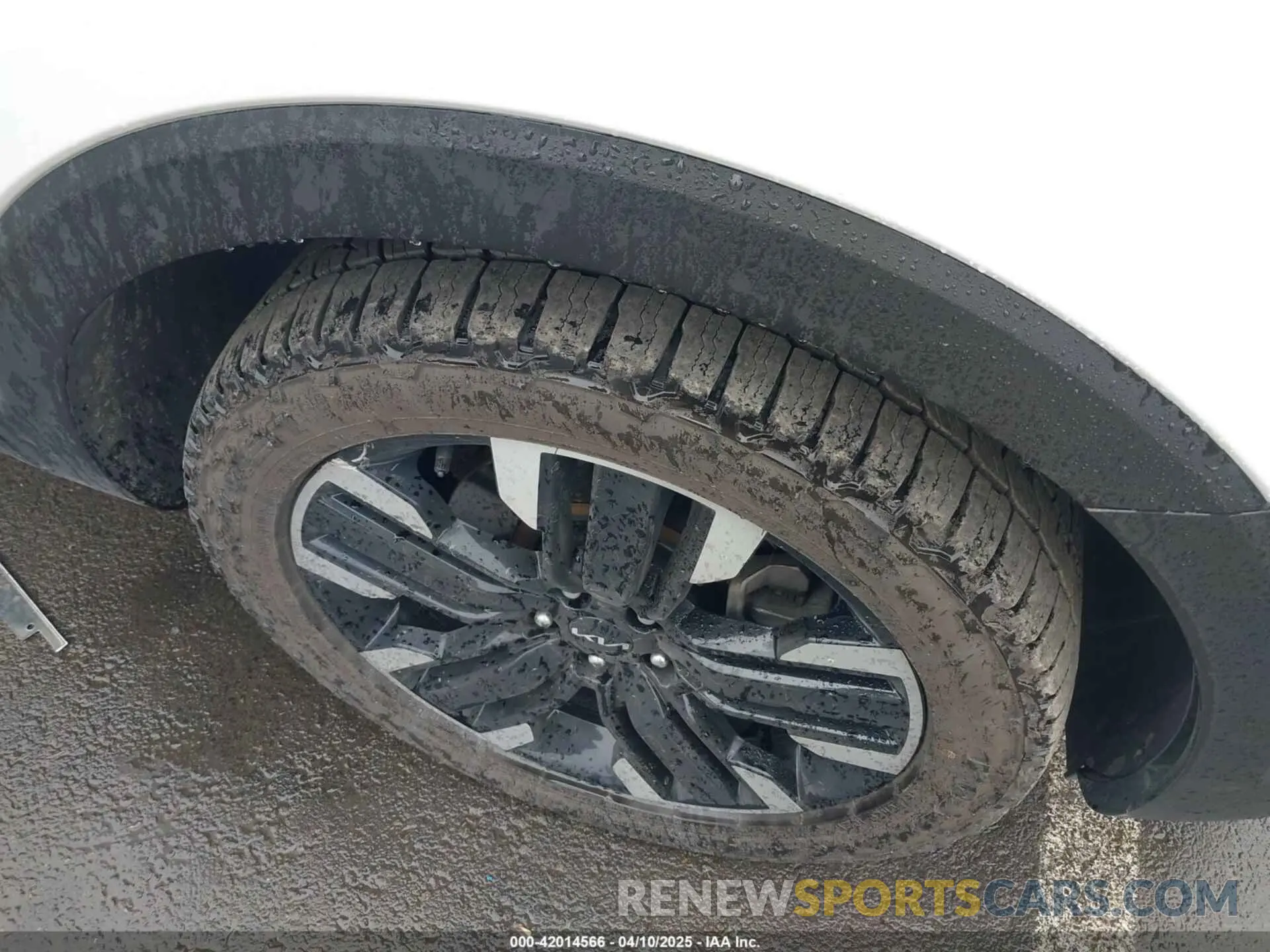 6 fotografías del automóvil dañado 5XYP5DGCXPG326044 KIA TELLURIDE 2023