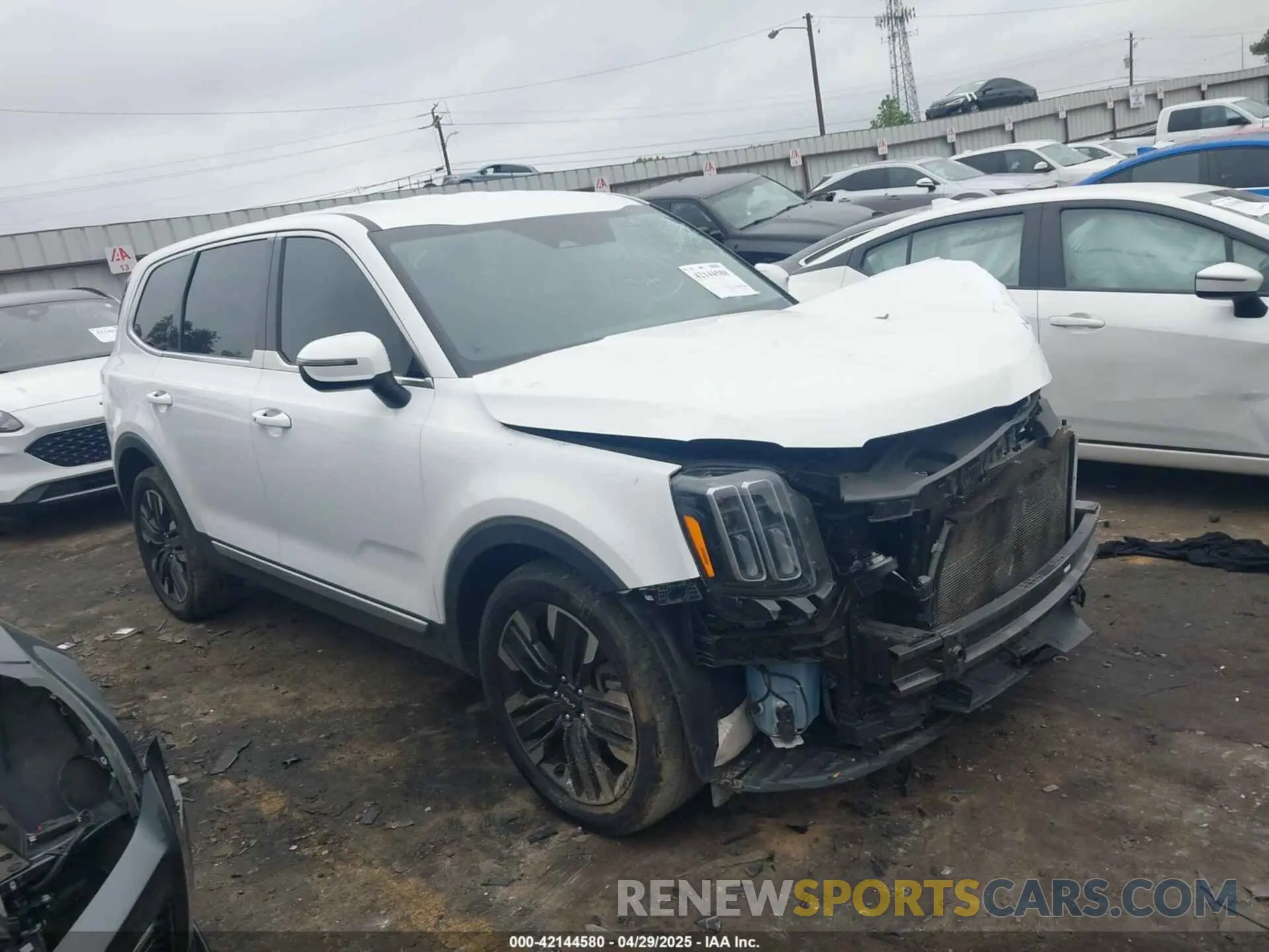 1 fotografías del automóvil dañado 5XYP24GC1RG411138 KIA TELLURIDE 2024