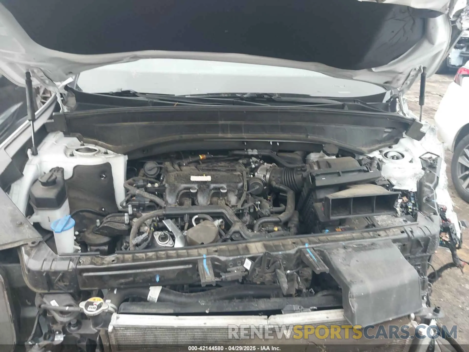 10 fotografías del automóvil dañado 5XYP24GC1RG411138 KIA TELLURIDE 2024