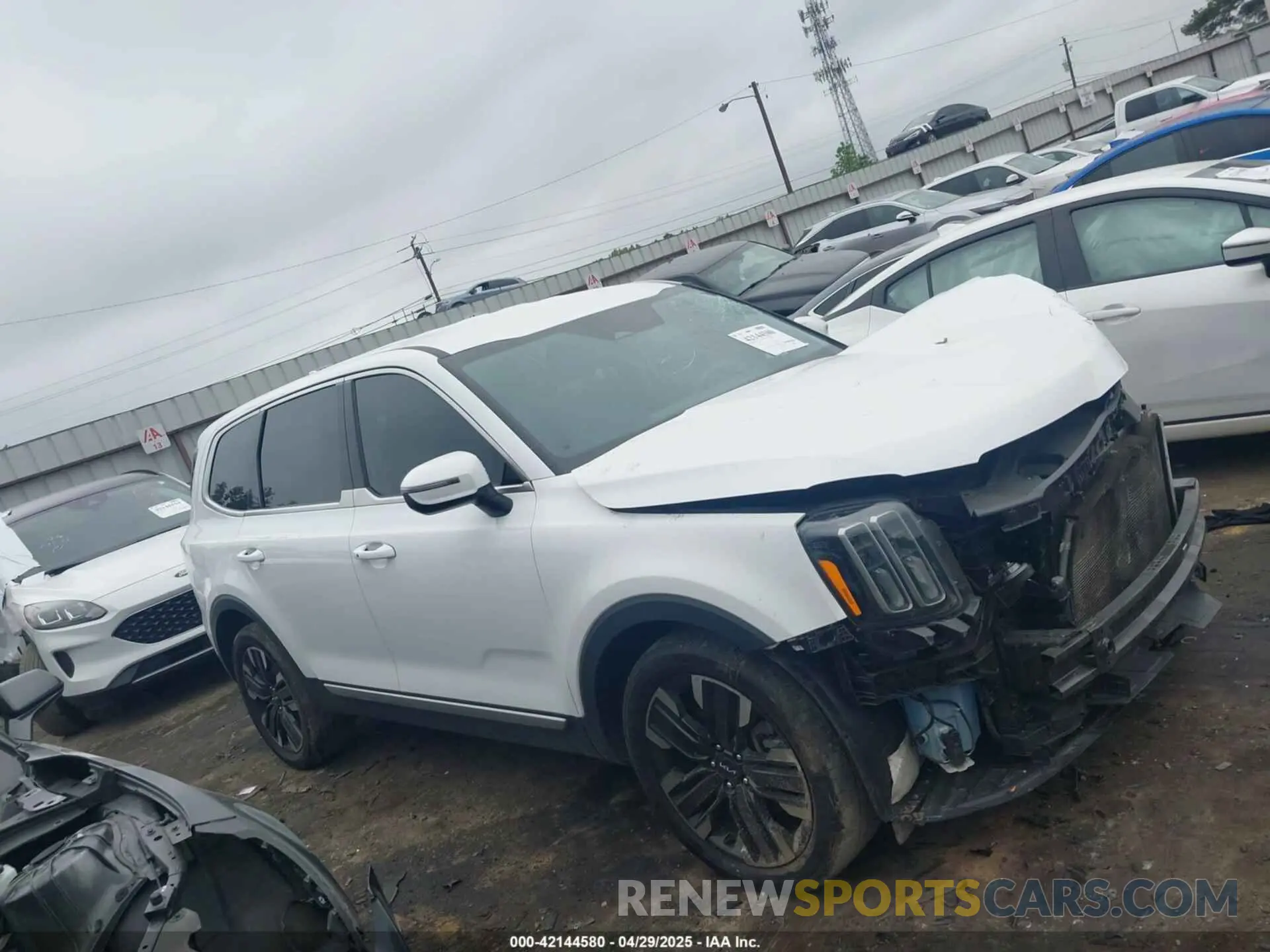 12 fotografías del automóvil dañado 5XYP24GC1RG411138 KIA TELLURIDE 2024