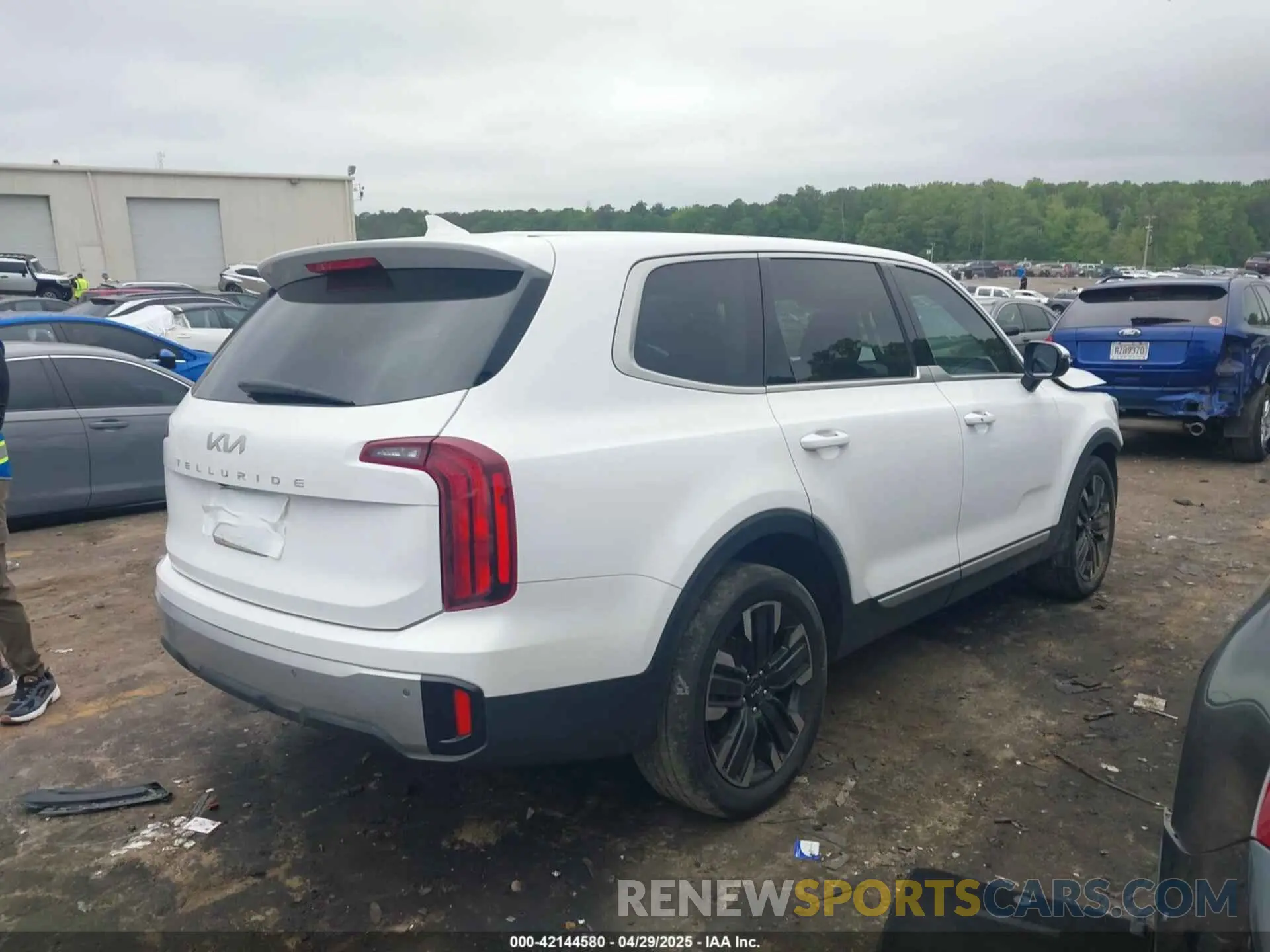 4 fotografías del automóvil dañado 5XYP24GC1RG411138 KIA TELLURIDE 2024