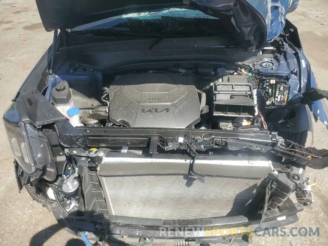 12 fotografías del automóvil dañado 5XYP5DGC1RG439447 KIA TELLURIDE 2024