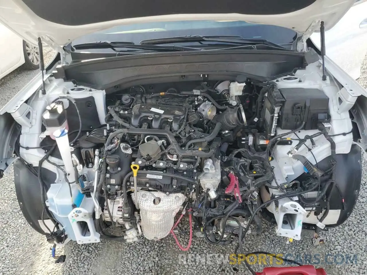 12 fotografías del automóvil dañado 5XYP5DGC2RG412872 KIA TELLURIDE 2024