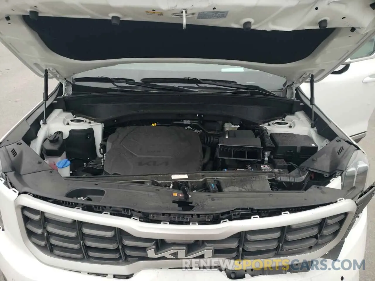 12 fotografías del automóvil dañado 5XYP5DGC4RG544175 KIA TELLURIDE 2024