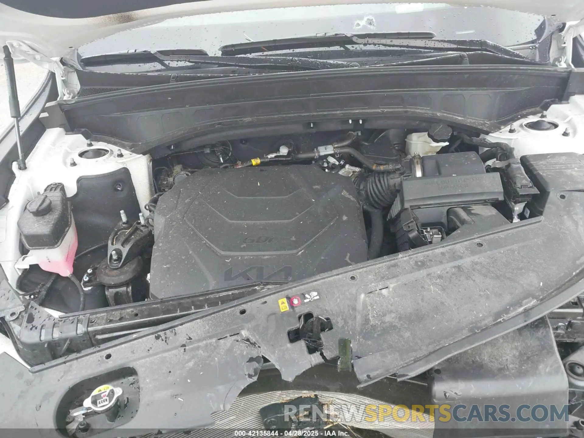 10 fotografías del automóvil dañado 5XYP5DGC6RG538930 KIA TELLURIDE 2024
