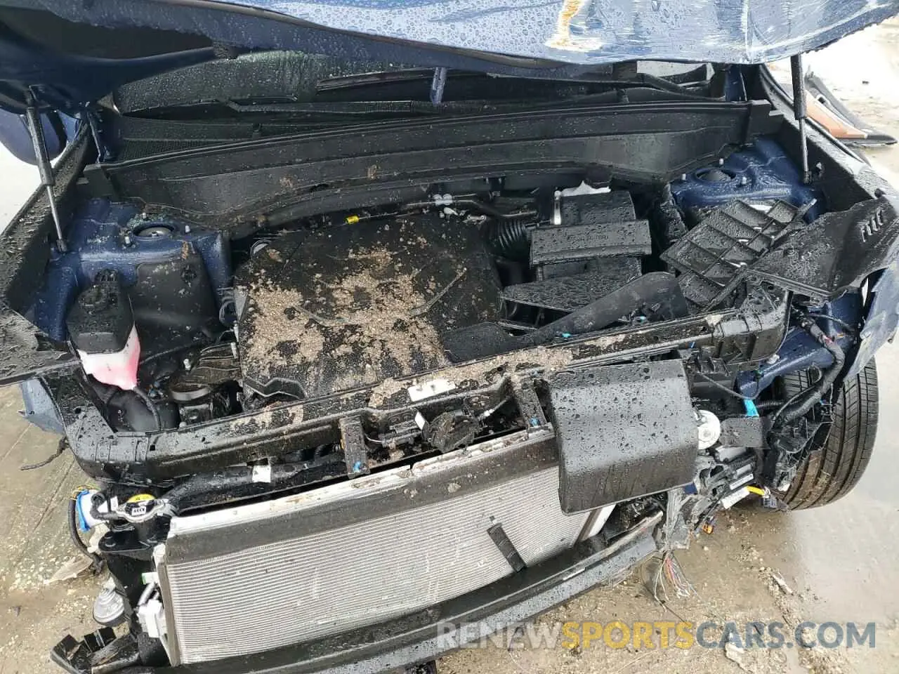 12 fotografías del automóvil dañado 5XYP5DGC6RG544498 KIA TELLURIDE 2024