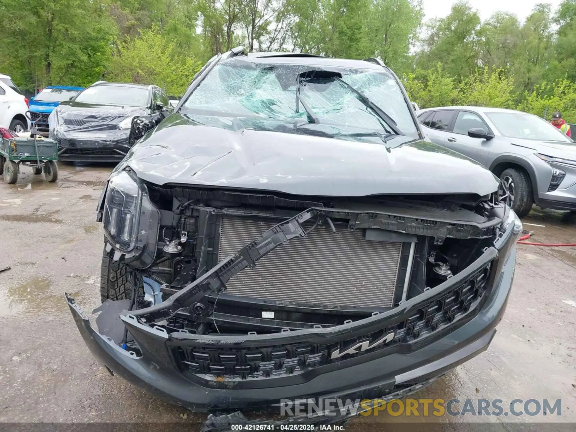 6 fotografías del automóvil dañado 5XYP5DGC9RG530255 KIA TELLURIDE 2024