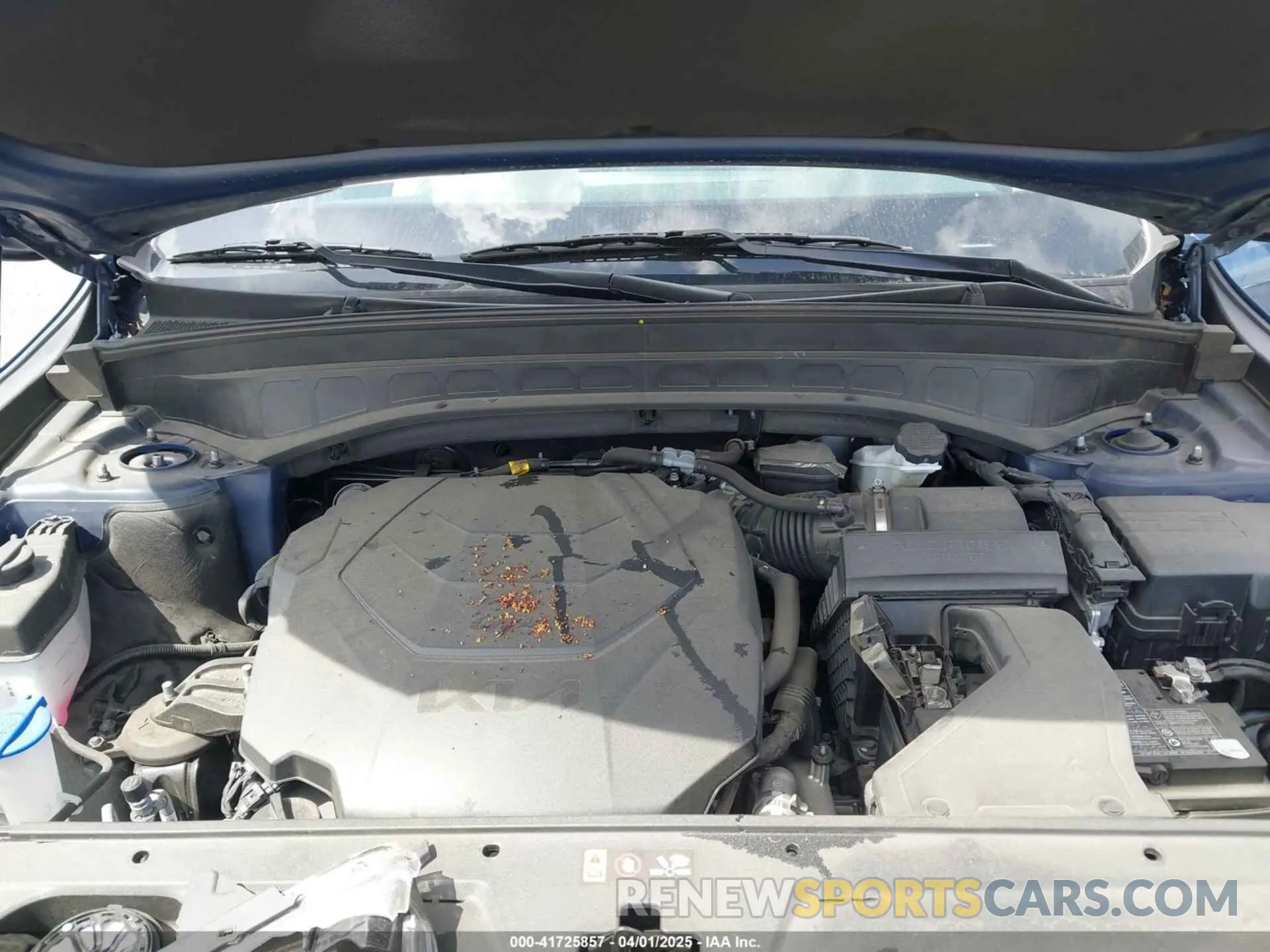 10 fotografías del automóvil dañado 5XYP64GC0RG466863 KIA TELLURIDE 2024