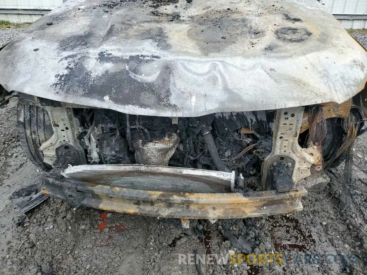 13 fotografías del automóvil dañado 5XYP6DGC0RG454910 KIA TELLURIDE 2024