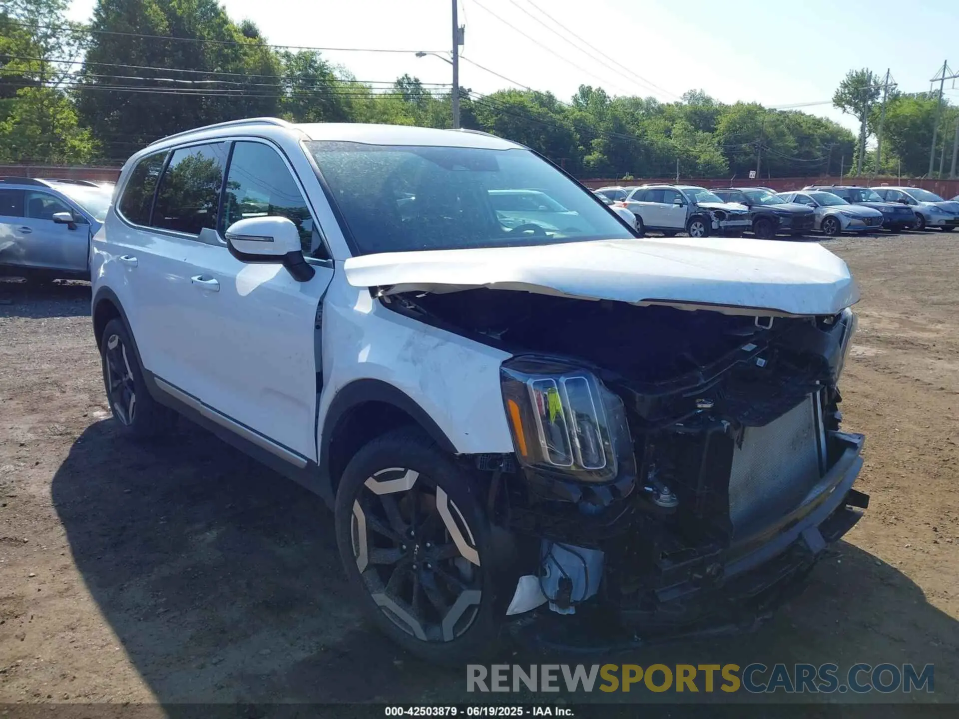 18 fotografías del automóvil dañado 5XYP6DGC2RG537531 KIA TELLURIDE 2024