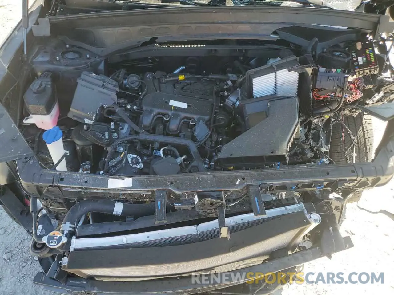 14 fotografías del automóvil dañado 5XYP64GC8SG565906 KIA TELLURIDE 2025