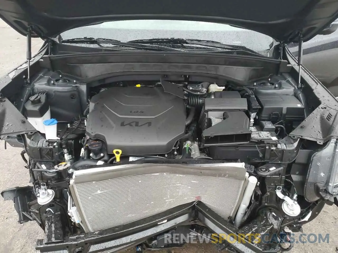 12 fotografías del automóvil dañado 5XYP6DGC4SG600490 KIA TELLURIDE 2025