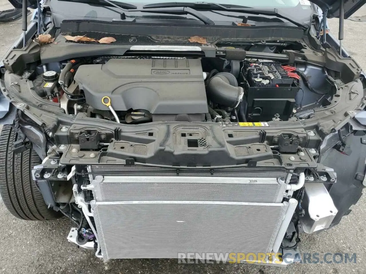 12 fotografías del automóvil dañado SALCP2FX0PH333313 LAND ROVER DISCOVERY 2023