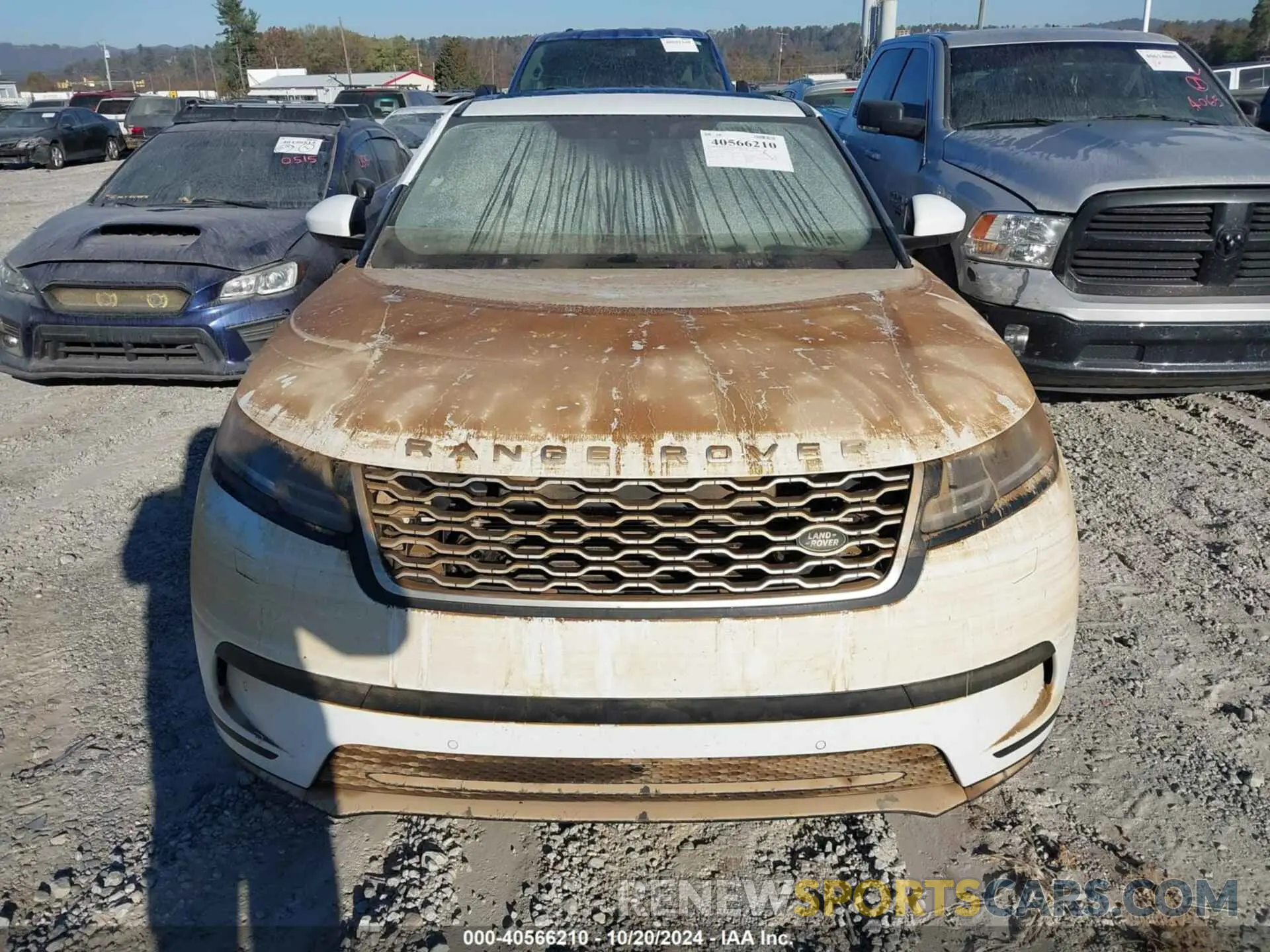 11 fotografías del automóvil dañado SALYB2EV1KA793604 LAND ROVER RANGE ROVER VELAR 2019