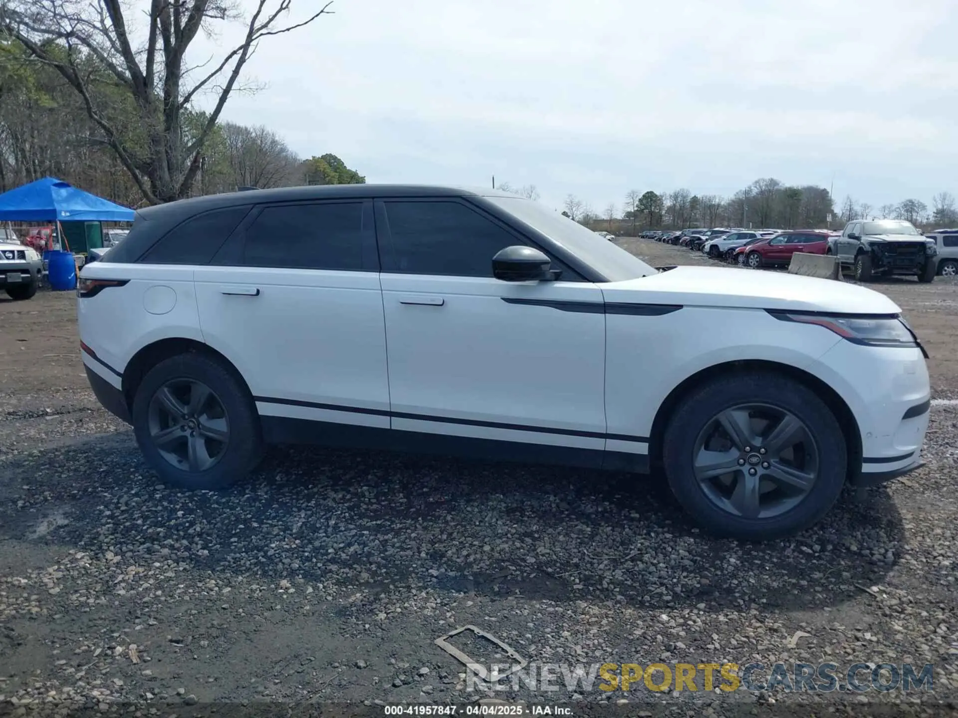 13 fotografías del automóvil dañado SALYJ2EX7MA314254 LAND ROVER RANGE ROVER VELAR 2021