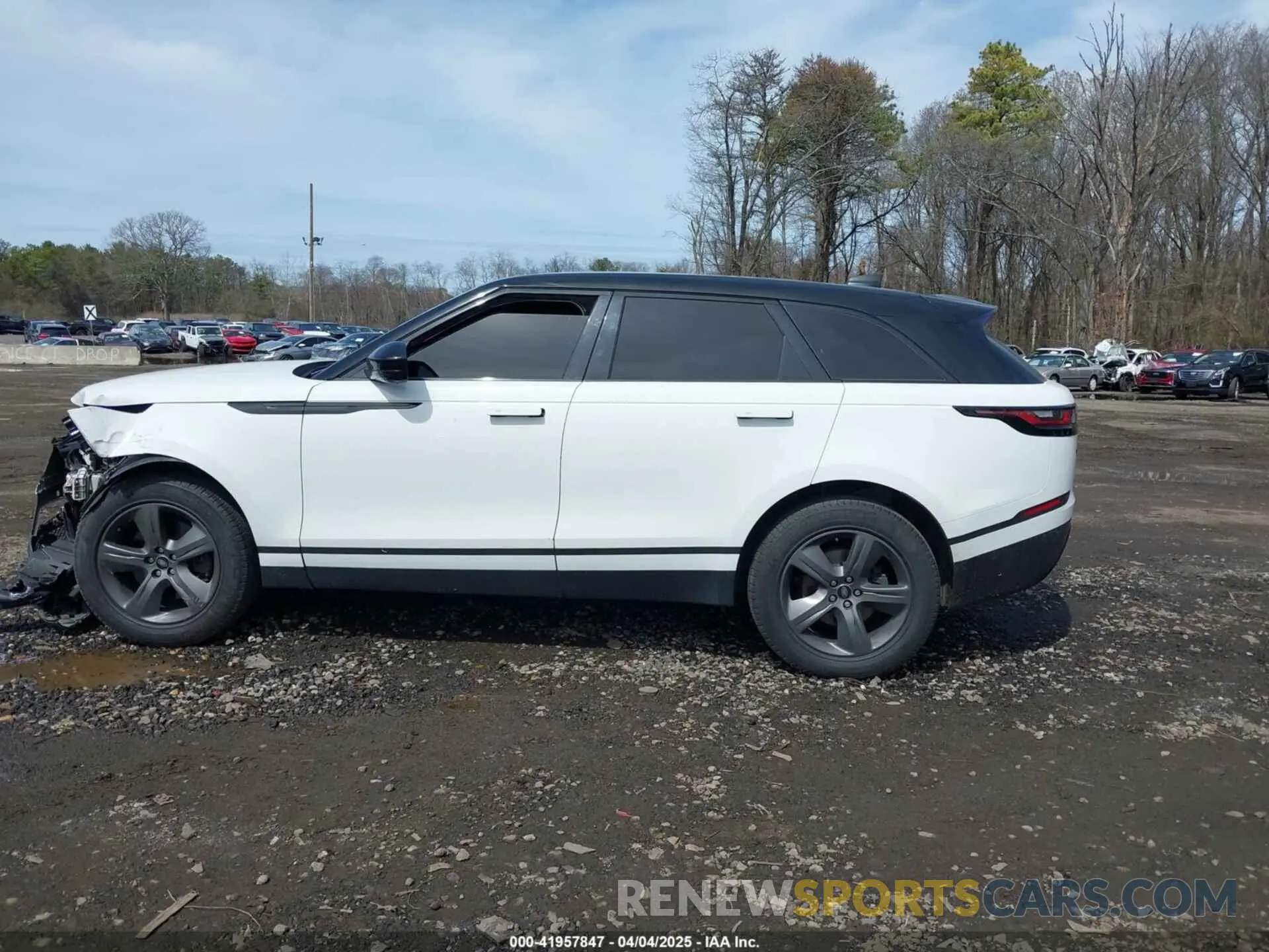 14 fotografías del automóvil dañado SALYJ2EX7MA314254 LAND ROVER RANGE ROVER VELAR 2021