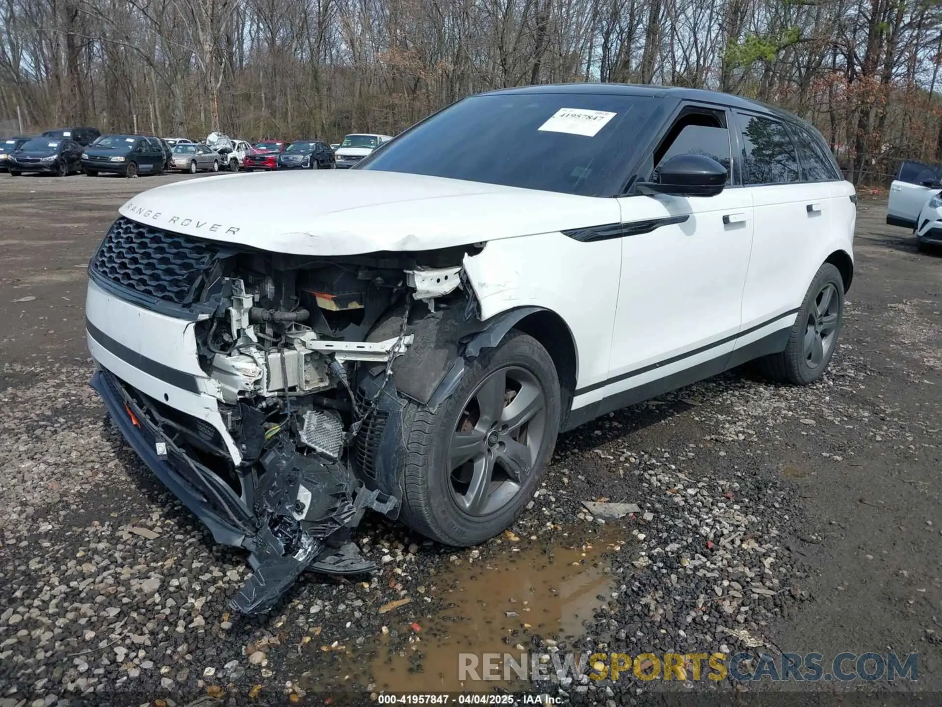 2 fotografías del automóvil dañado SALYJ2EX7MA314254 LAND ROVER RANGE ROVER VELAR 2021