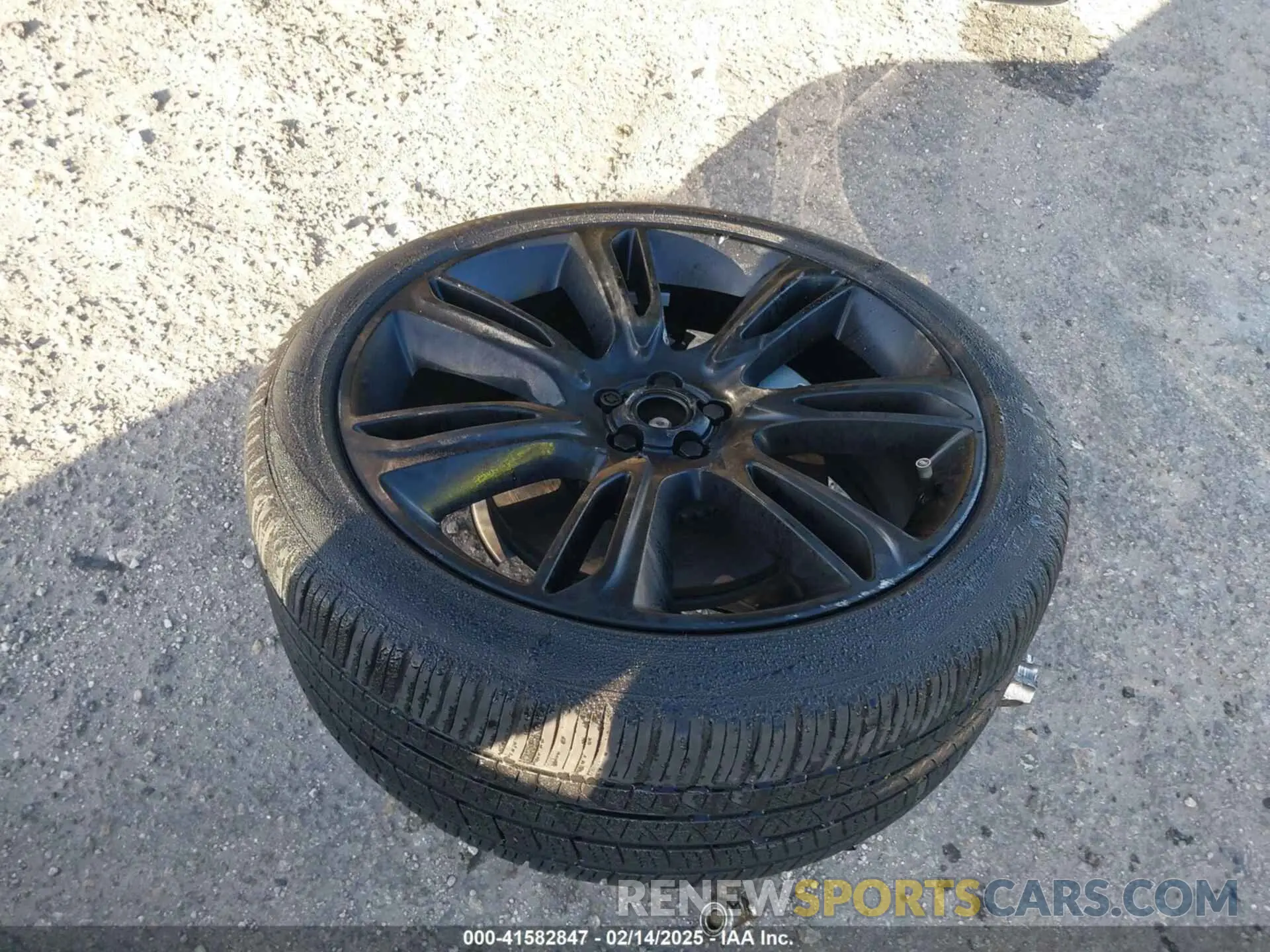 11 fotografías del automóvil dañado SALYT2EX0NA344160 LAND ROVER RANGE ROVER VELAR 2022