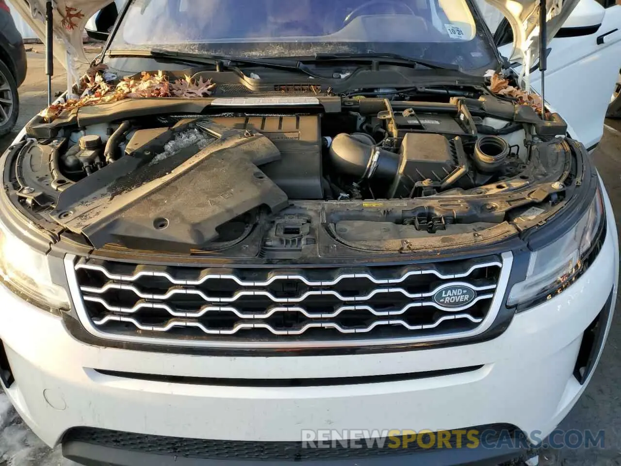 12 fotografías del automóvil dañado SALZP2FX7LH045339 LAND ROVER RANGEROVER 2020