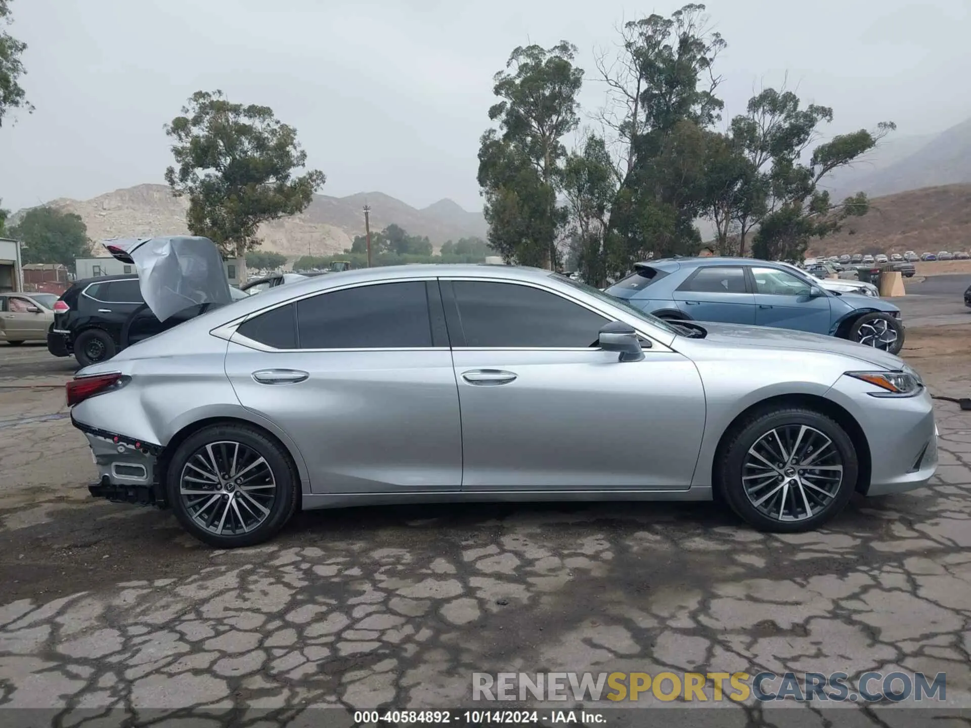 14 fotografías del automóvil dañado 58ADZ1B11RU173667 LEXUS ES 2024