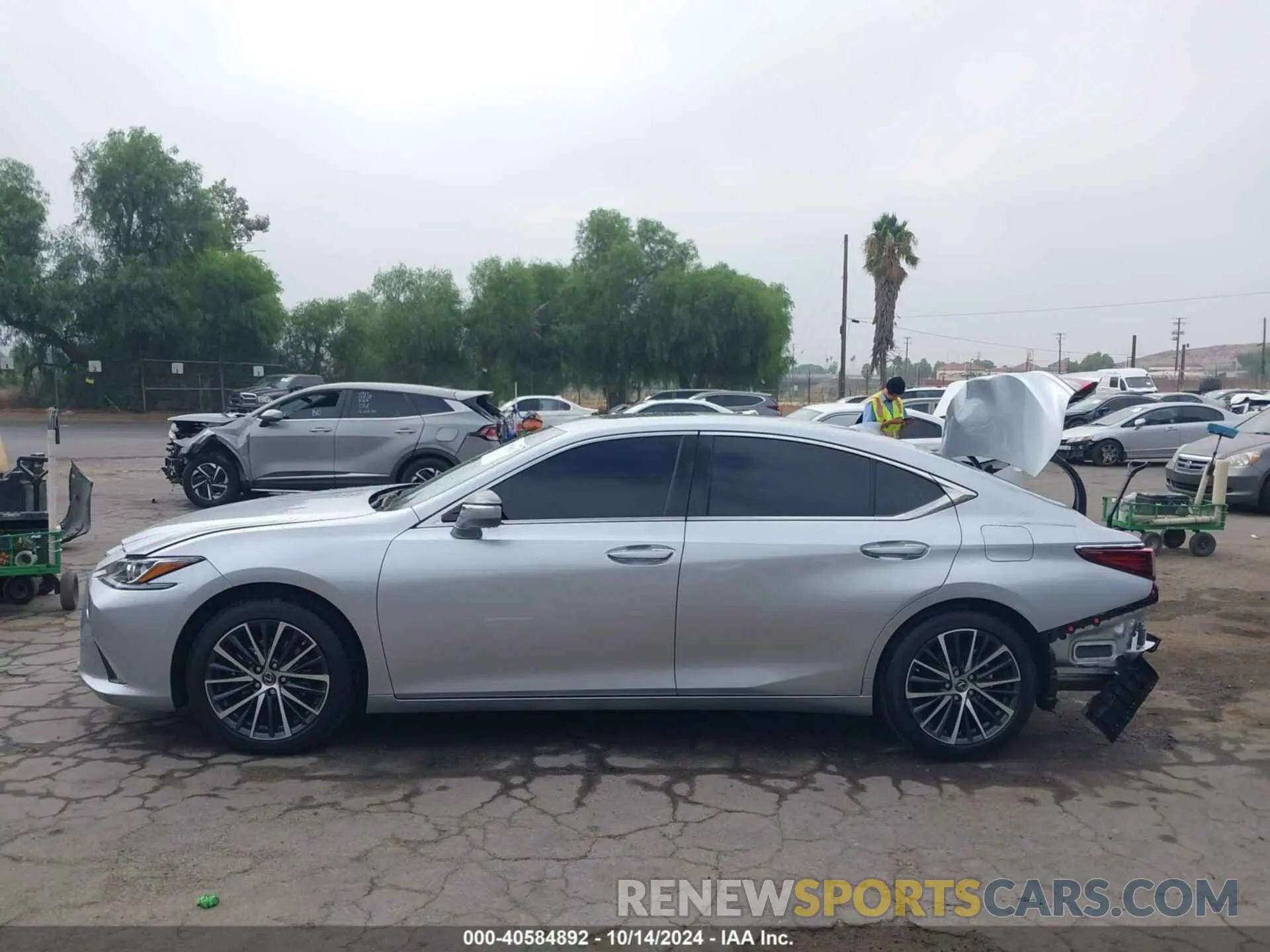 15 fotografías del automóvil dañado 58ADZ1B11RU173667 LEXUS ES 2024